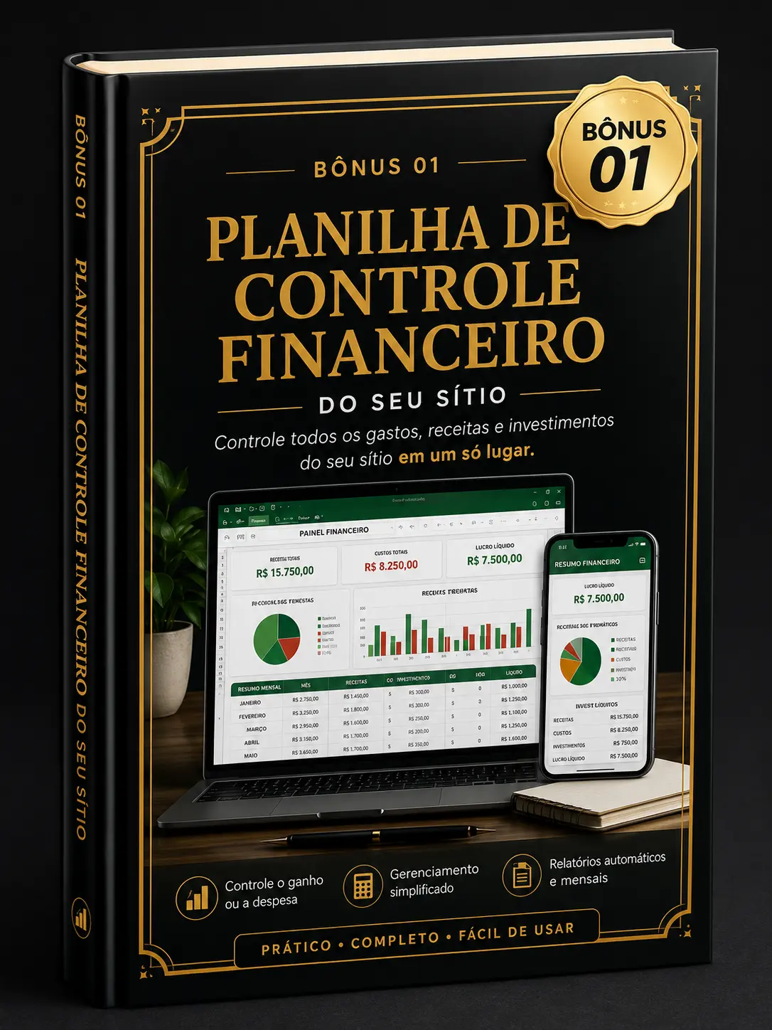 Planilha de Controle Financeiro do Sítio
